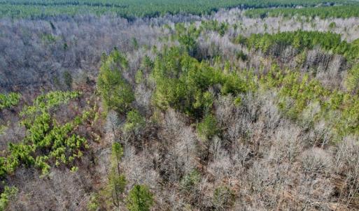 Photo #9 of SOLD property in Off Shelburne Lane, Victoria, VA 30.3 acres