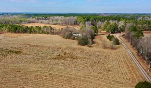 Photo #4 of SOLD property in Off Bolton Road, Rich Square, NC 38.5 acres