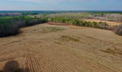 Photo #5 of SOLD property in Off Bolton Road, Rich Square, NC 38.5 acres