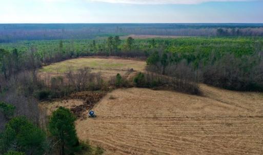 Photo #6 of SOLD property in Off Bolton Road, Rich Square, NC 38.5 acres