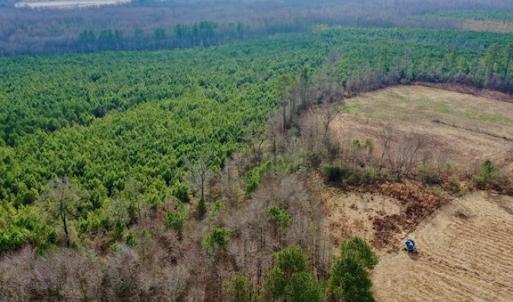 Photo #7 of SOLD property in Off Bolton Road, Rich Square, NC 38.5 acres