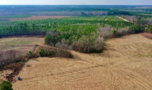 Photo #8 of SOLD property in Off Bolton Road, Rich Square, NC 38.5 acres