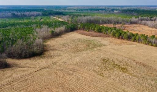 Photo #9 of SOLD property in Off Bolton Road, Rich Square, NC 38.5 acres