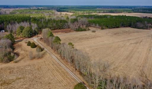 Photo #10 of SOLD property in Off Bolton Road, Rich Square, NC 38.5 acres