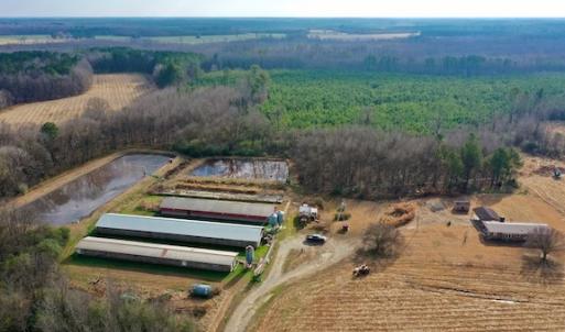 Photo #11 of SOLD property in Off Bolton Road, Rich Square, NC 38.5 acres