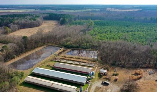 Photo #12 of SOLD property in Off Bolton Road, Rich Square, NC 38.5 acres
