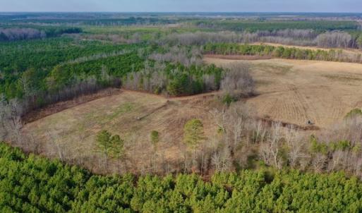 Photo #13 of SOLD property in Off Bolton Road, Rich Square, NC 38.5 acres