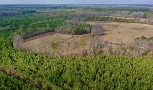 Photo #14 of SOLD property in Off Bolton Road, Rich Square, NC 38.5 acres