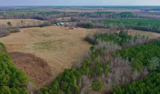 Photo #16 of SOLD property in Off Bolton Road, Rich Square, NC 38.5 acres