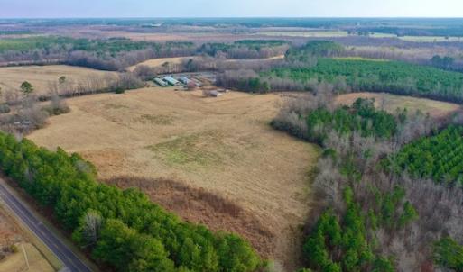 Photo #17 of SOLD property in Off Bolton Road, Rich Square, NC 38.5 acres