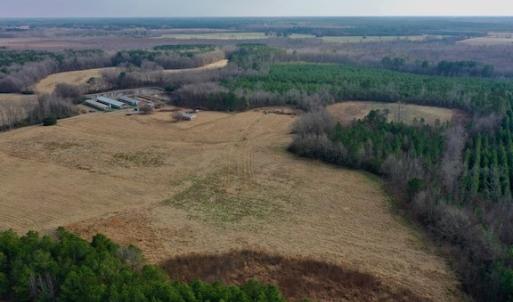Photo #18 of SOLD property in Off Bolton Road, Rich Square, NC 38.5 acres