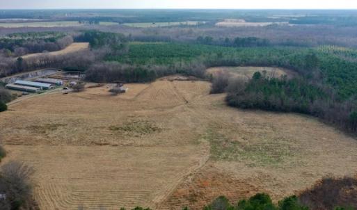 Photo #19 of SOLD property in Off Bolton Road, Rich Square, NC 38.5 acres