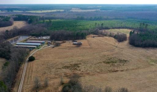 Photo #20 of SOLD property in Off Bolton Road, Rich Square, NC 38.5 acres