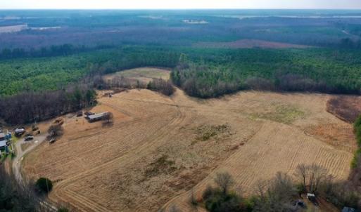 Photo #21 of SOLD property in Off Bolton Road, Rich Square, NC 38.5 acres