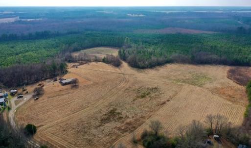 Photo #21 of SOLD property in Off Bolton Road, Rich Square, NC 38.5 acres