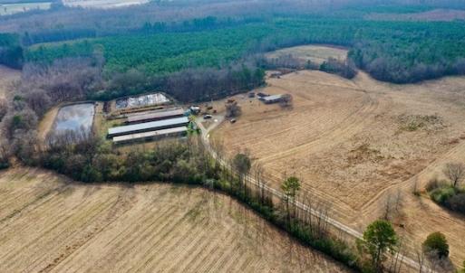 Photo #22 of SOLD property in Off Bolton Road, Rich Square, NC 38.5 acres