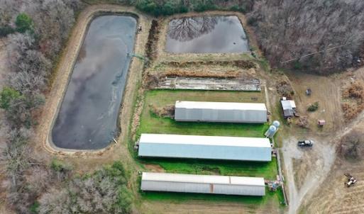Photo #23 of SOLD property in Off Bolton Road, Rich Square, NC 38.5 acres