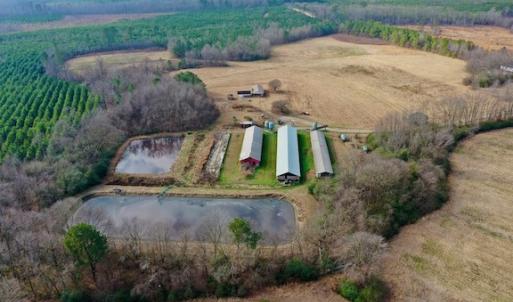 Photo #24 of SOLD property in Off Bolton Road, Rich Square, NC 38.5 acres