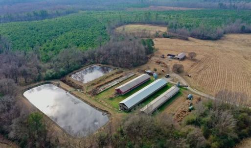 Photo #25 of SOLD property in Off Bolton Road, Rich Square, NC 38.5 acres