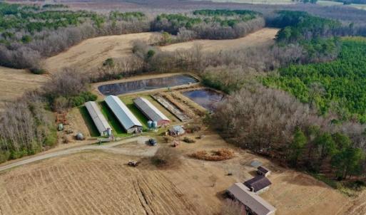 Photo #27 of SOLD property in Off Bolton Road, Rich Square, NC 38.5 acres