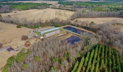 Photo #28 of SOLD property in Off Bolton Road, Rich Square, NC 38.5 acres