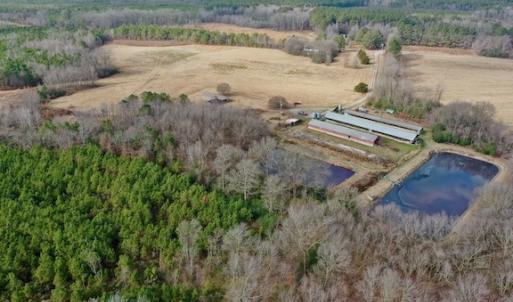 Photo #29 of SOLD property in Off Bolton Road, Rich Square, NC 38.5 acres