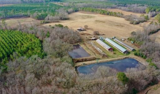 Photo #30 of SOLD property in Off Bolton Road, Rich Square, NC 38.5 acres