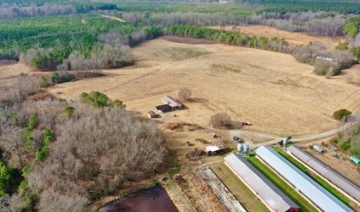 Photo #31 of SOLD property in Off Bolton Road, Rich Square, NC 38.5 acres