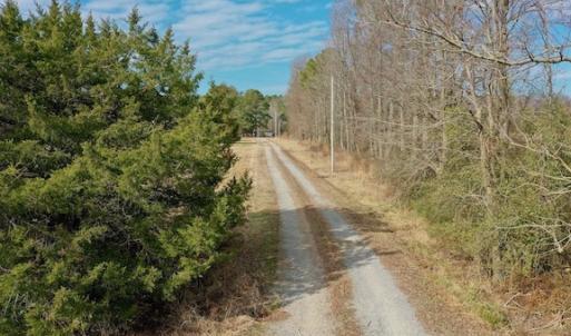 Photo #34 of SOLD property in Off Bolton Road, Rich Square, NC 38.5 acres