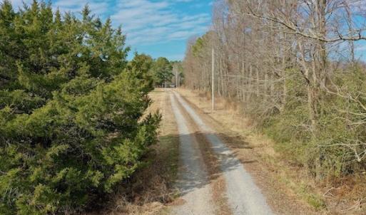 Photo #34 of SOLD property in Off Bolton Road, Rich Square, NC 38.5 acres