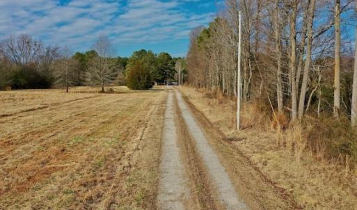 Photo #35 of SOLD property in Off Bolton Road, Rich Square, NC 38.5 acres