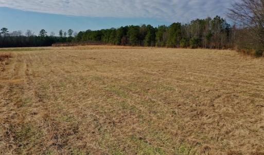Photo #37 of SOLD property in Off Bolton Road, Rich Square, NC 38.5 acres