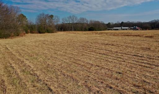 Photo #38 of SOLD property in Off Bolton Road, Rich Square, NC 38.5 acres