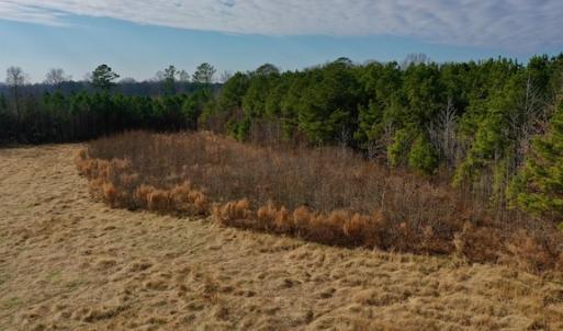 Photo #39 of SOLD property in Off Bolton Road, Rich Square, NC 38.5 acres