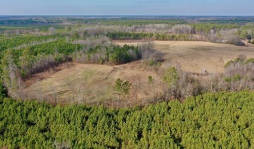 Photo #44 of SOLD property in Off Bolton Road, Rich Square, NC 38.5 acres