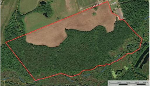 Photo #1 of SOLD property in Off Spencer Court, Marion, SC 71.9 acres