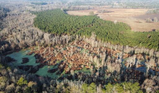 Photo #2 of SOLD property in Off Spencer Court, Marion, SC 71.9 acres