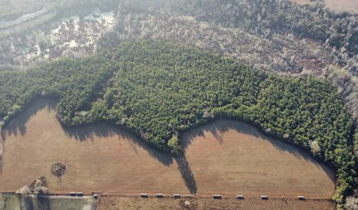 Photo #3 of SOLD property in Off Spencer Court, Marion, SC 71.9 acres