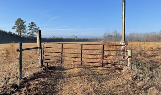 Photo #4 of Off Spencer Court, Marion, SC 71.9 acres