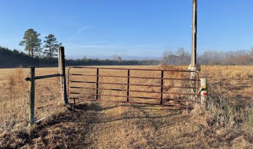 Photo #4 of SOLD property in Off Spencer Court, Marion, SC 71.9 acres