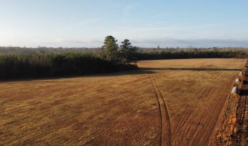 Photo #5 of SOLD property in Off Spencer Court, Marion, SC 71.9 acres