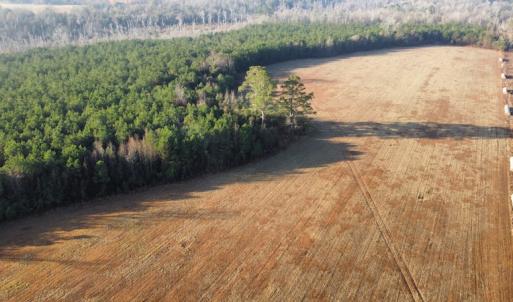 Photo #6 of SOLD property in Off Spencer Court, Marion, SC 71.9 acres