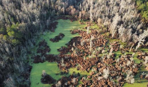 Photo #7 of SOLD property in Off Spencer Court, Marion, SC 71.9 acres