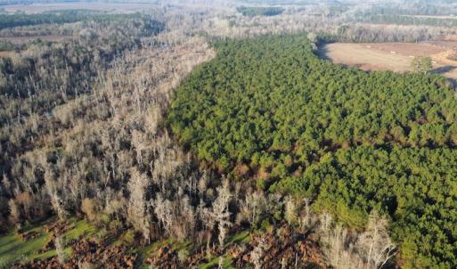 Photo #8 of SOLD property in Off Spencer Court, Marion, SC 71.9 acres