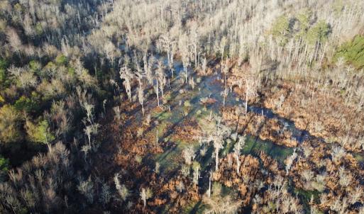 Photo #9 of SOLD property in Off Spencer Court, Marion, SC 71.9 acres