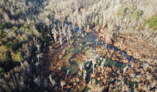 Photo #9 of Off Spencer Court, Marion, SC 71.9 acres