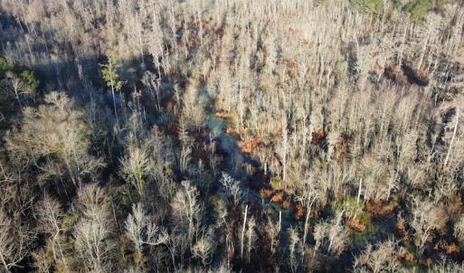 Photo #10 of SOLD property in Off Spencer Court, Marion, SC 71.9 acres