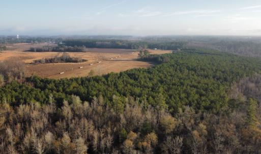 Photo #11 of SOLD property in Off Spencer Court, Marion, SC 71.9 acres