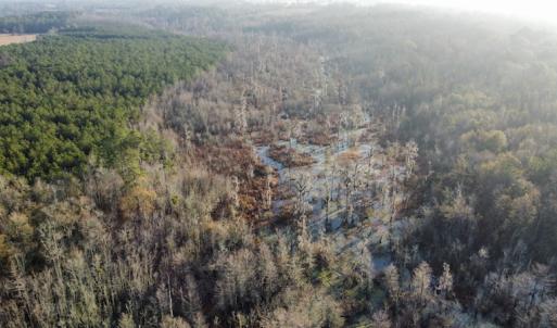 Photo #12 of SOLD property in Off Spencer Court, Marion, SC 71.9 acres