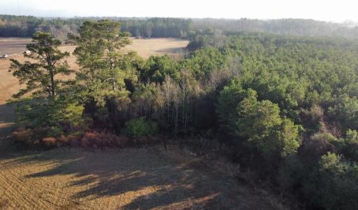 Photo #13 of SOLD property in Off Spencer Court, Marion, SC 71.9 acres